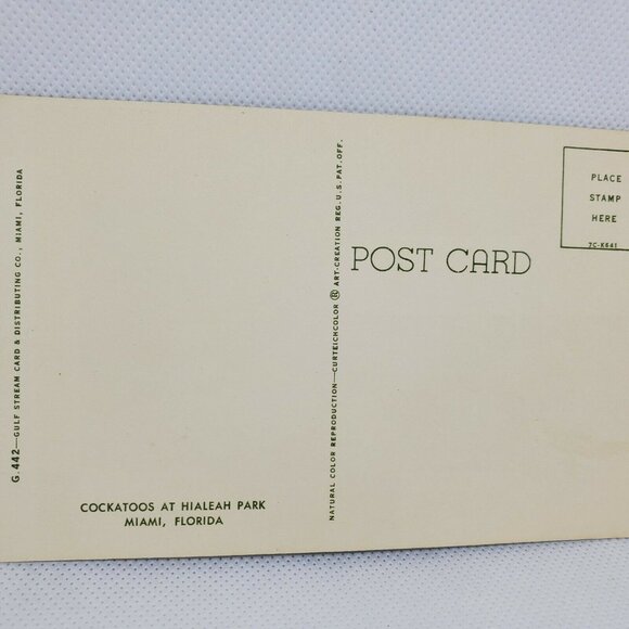 Gulf Stream Card Cockatoos At Hialeah Park Florida Miami Bird Postcard Animal - Picture 7 of 12